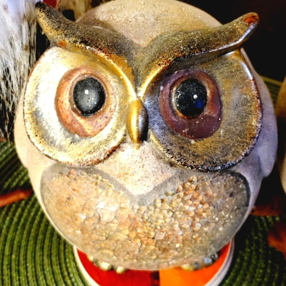 Owls ๐ฆ - Picture 4 of 9